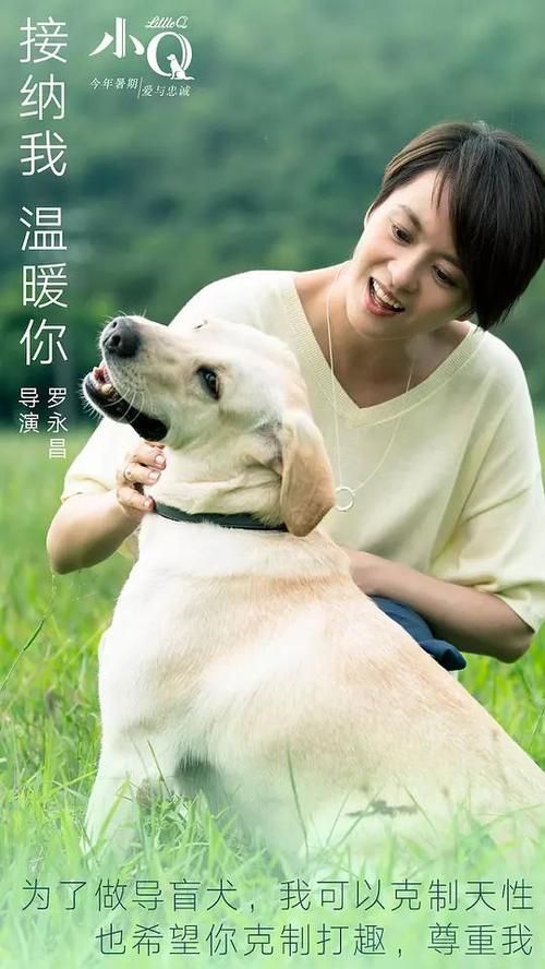 加州理工州立大学Economics Degree Certificate